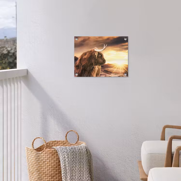 Tuinposter - Schotse hooglander - Zon - Horizon - Koe - Dieren — 5