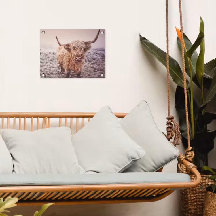 Tuinposter - Schotse hooglanders - Licht - Lucht - Natuur — 4