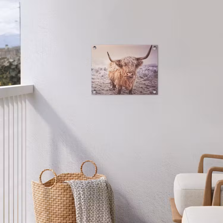 Tuinposter - Schotse hooglanders - Licht - Lucht - Natuur — 5