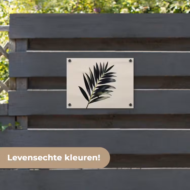 Tuinposter - Palmblad - Subtiel - Groen - beige — 6