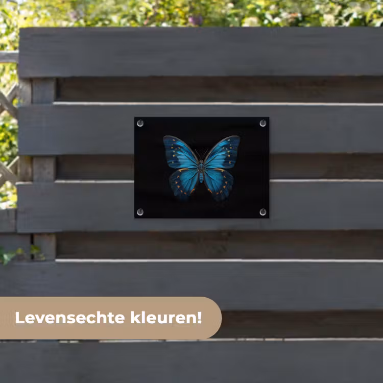 Tuinposter - Vlinder - Blauw - Contrast — 6