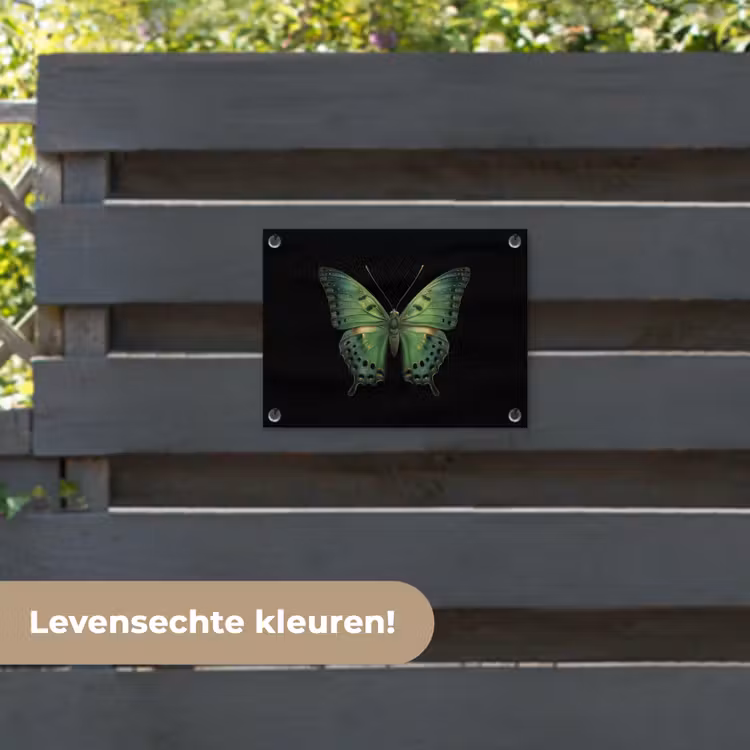 Tuinposter - Vlinder - Groen - Diepte — 6
