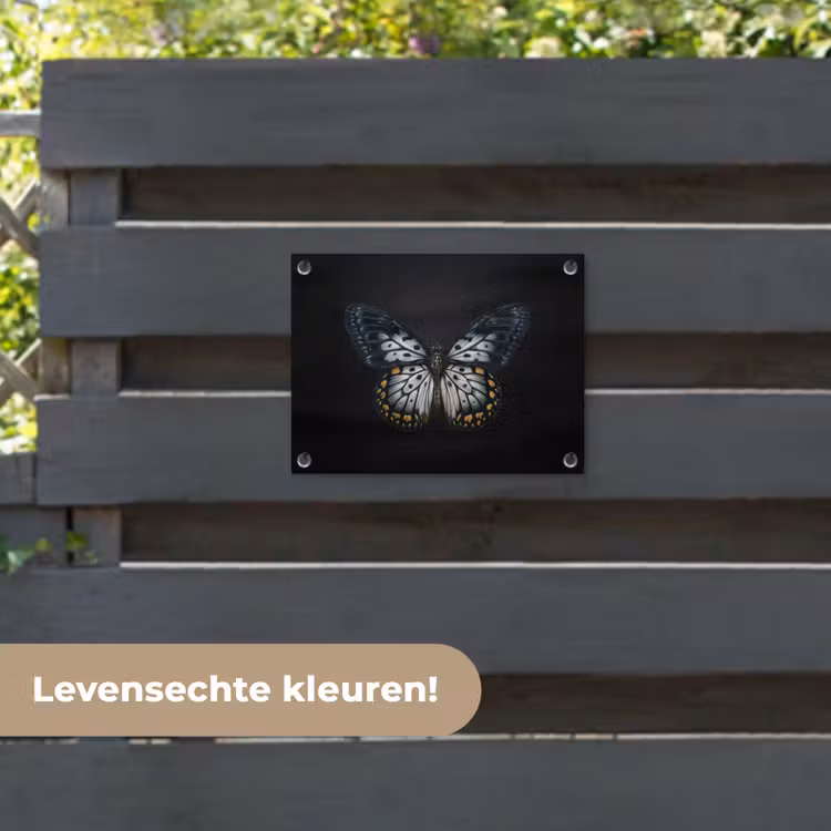 Tuinposter - Vlinder - Monochroom - Balans — 6