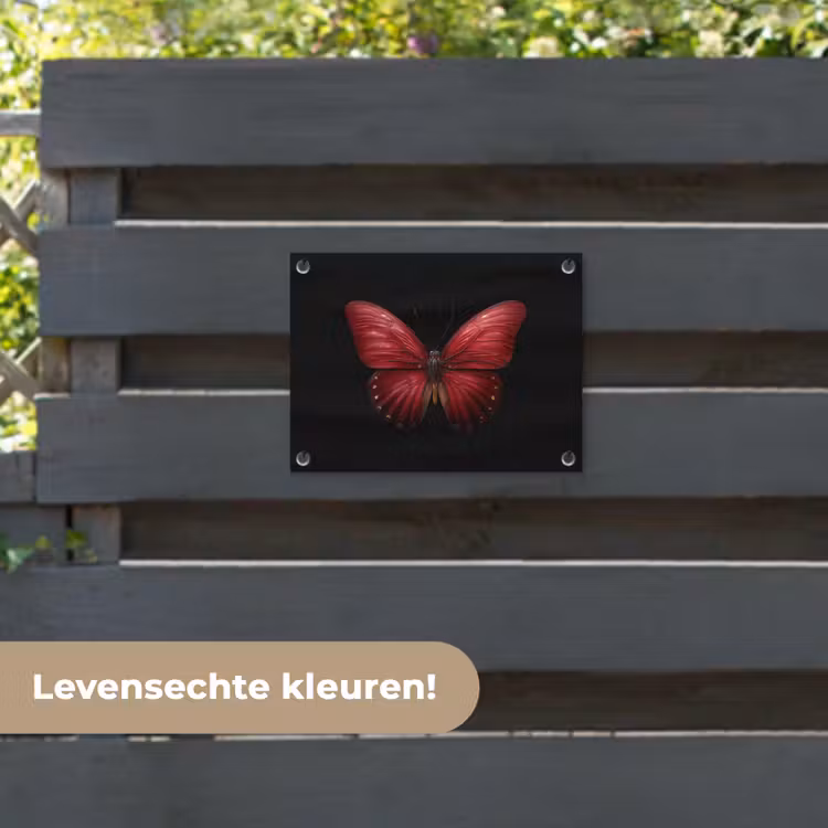 Tuinposter - Vlinder - Rood - Minimalistisch — 6
