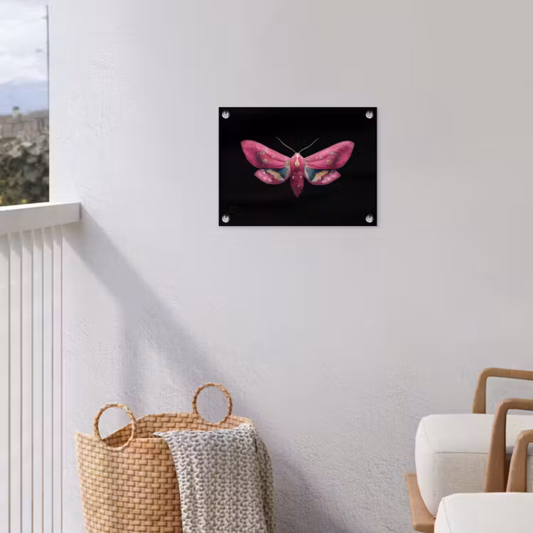 Tuinposter - Vlinder - Roze - Nachtvlinder — 5