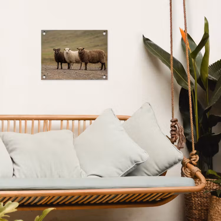 Tuinposter - Schapen - Bruin - Wit - Grindpad — 4