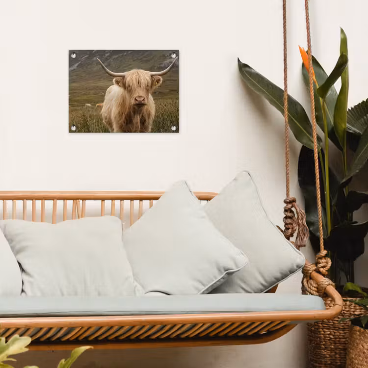 Tuinposter - Schotse hooglander - Bergen - Grasveld — 4