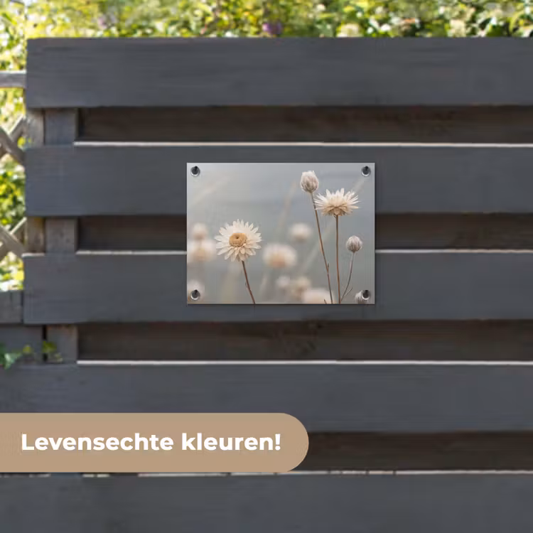 Tuinposter - Strobloemen - Wit - Daglicht — 6