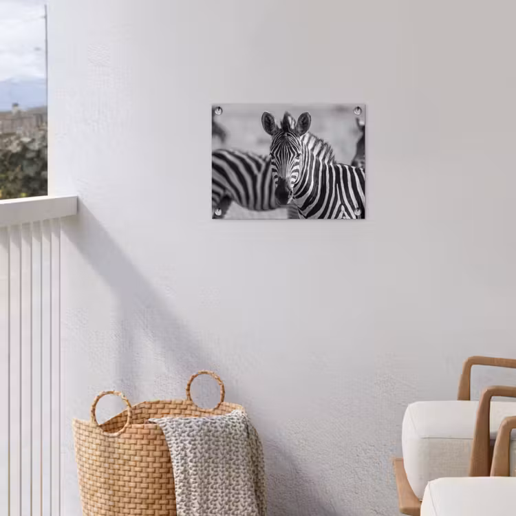 Tuinposter - Zebra's - Zwart - Wit — 5