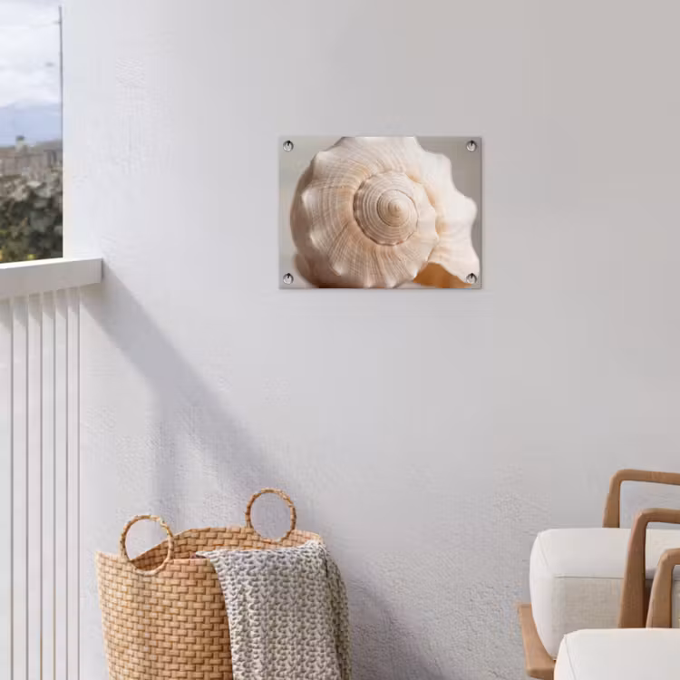 Tuinposter - Schelp - Detail - Beige — 5