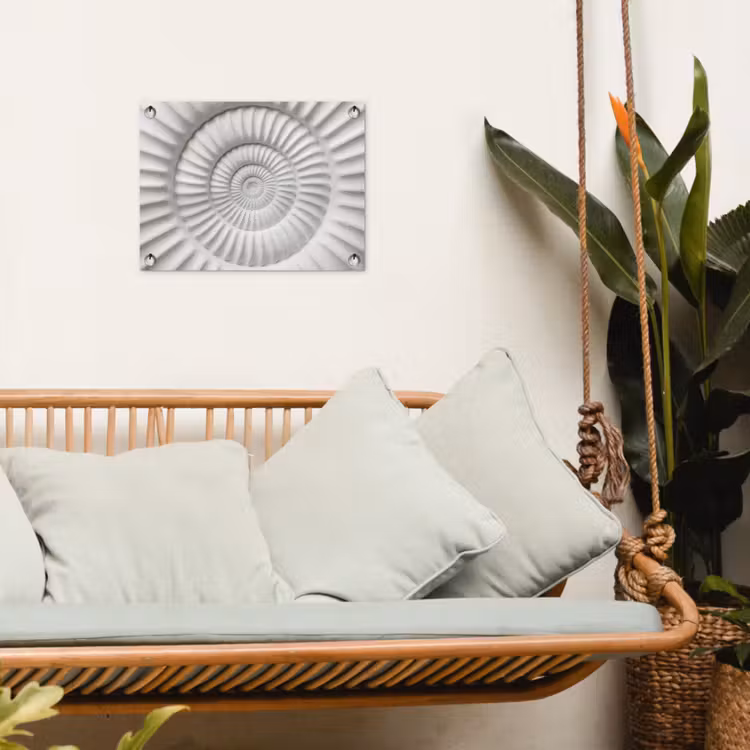 Tuinposter - Schelp - Spiraal - Wit — 4