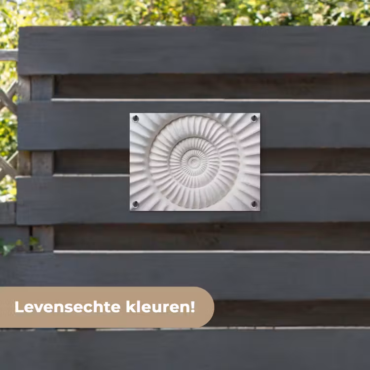 Tuinposter - Schelp - Spiraal - Wit — 6