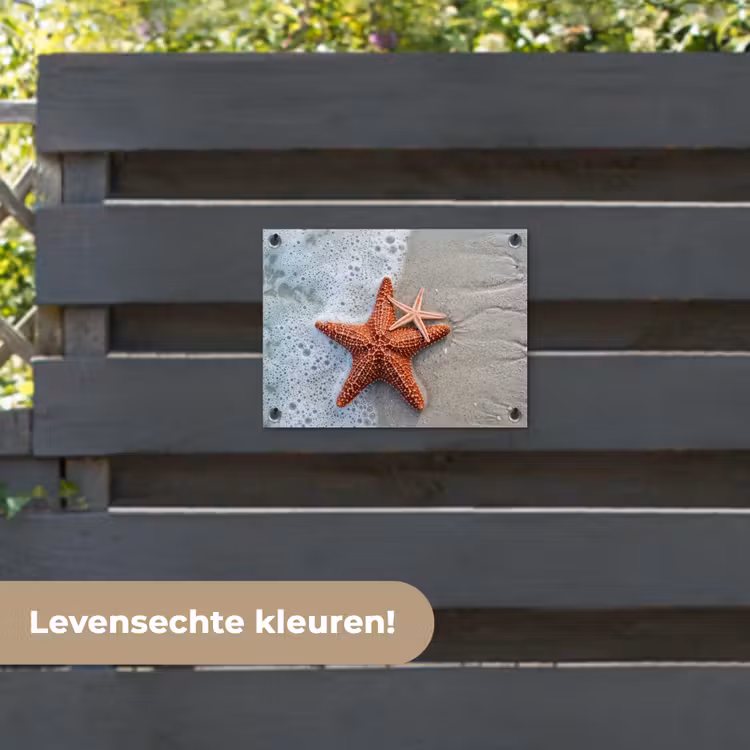 Tuinposter - Zeester - Strand - Zee — 6