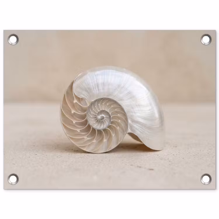 Tuinposter - Schelp - Spiraal - Beige — 1