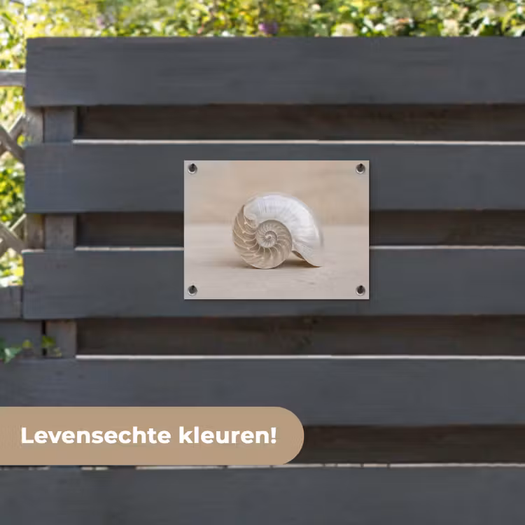 Tuinposter - Schelp - Spiraal - Beige — 6