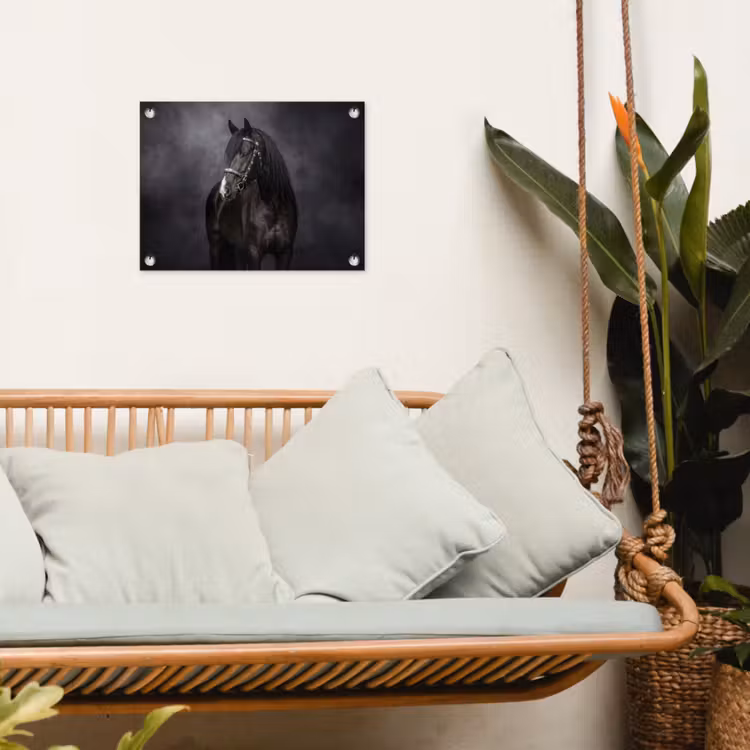 Tuinposter - Portret - Paard - Zwart — 4