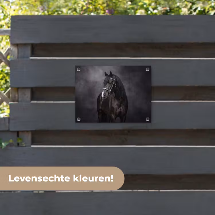 Tuinposter - Portret - Paard - Zwart — 6