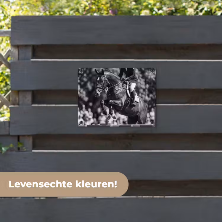 Tuinposter - Springen - Paard - Zwart - Wit — 6