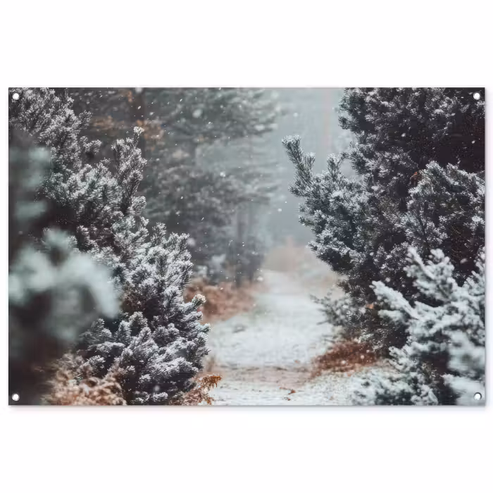 Tuinposter - Bos - Winter - Bomen - Natuur - Pad - Sneeuw