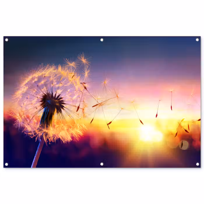 Tuinposter - Paardenbloem - Bloemen - Zonsondergang - Horizon - Nacht