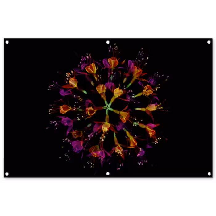 Tuinposter - Bloemen - Oranje - Roze - Zwart