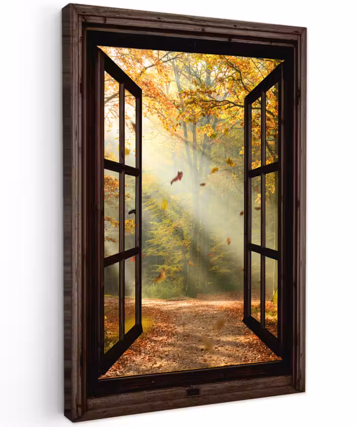 Buiten canvas - Bos - Bomen - Herfst - Zon - Herfstbladeren - Natuur - Doorkijk