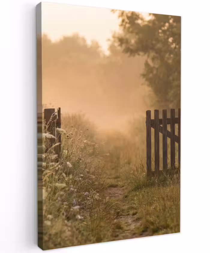 Buiten canvas - Hek - Natuur - Mist - Veld