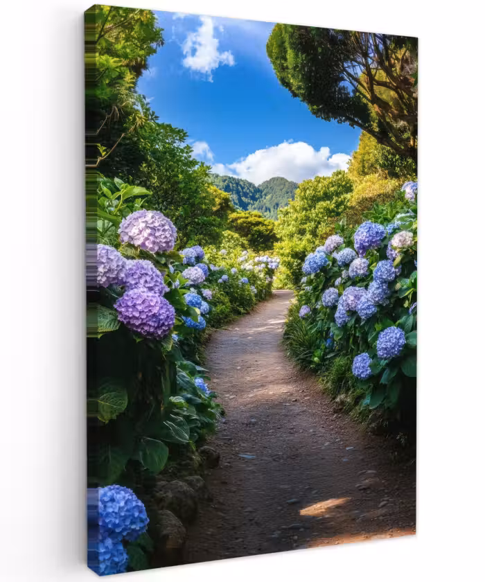 Buiten canvas - Hortsensia - Pad - Bloemen