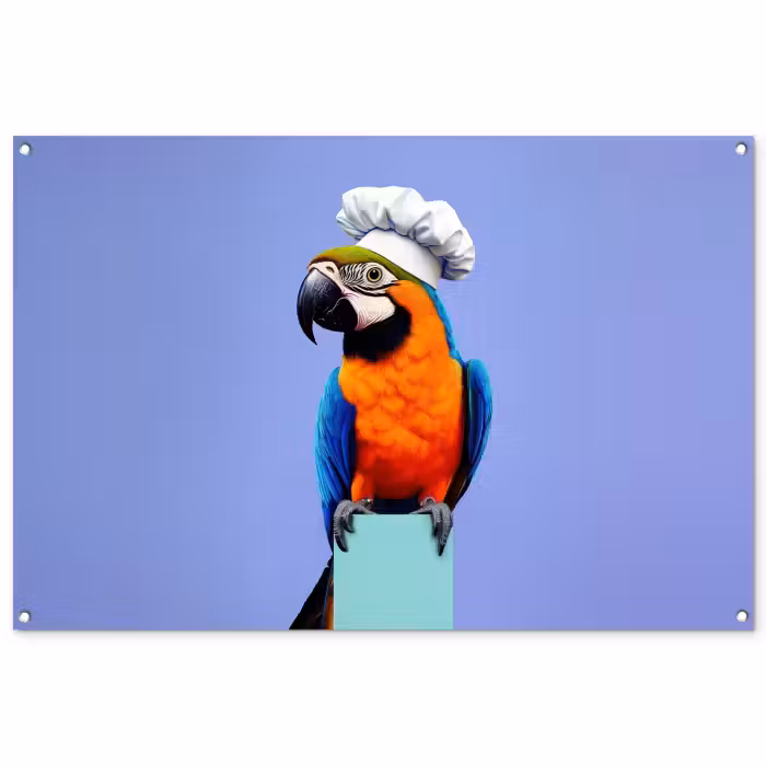 Tuinposter - Papegaai - Koksmuts - Vogel - Leuk