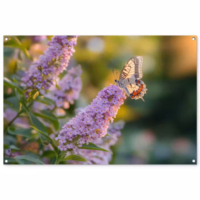 Tuinposter - Sierlijke - Vlinder - Paarse - Bloemen