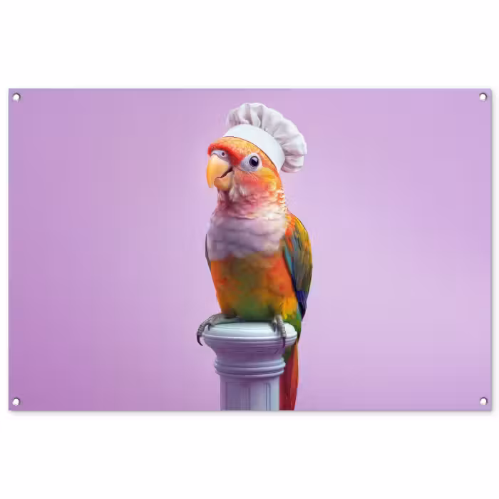 Tuinposter - Papegaai - Koksmuts - Pilaar - Vogel