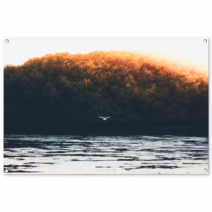 Tuinposter - Vogel - Boom - Water