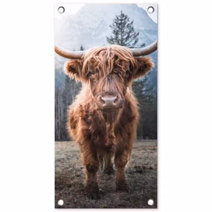 Tuinposter - Imposante Hooglander in de Natuur