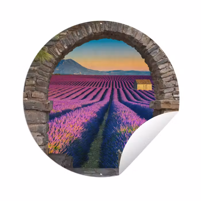 Tuinposter - Lavendel - Avond - Doorkijk - Bloemen