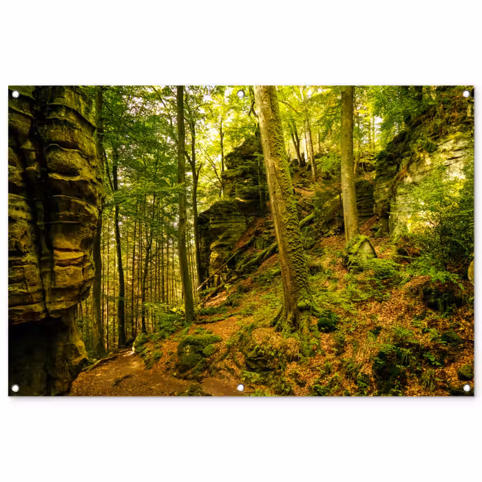 Tuinposter - Bomen - Steen - Bos - Natuur - Planten