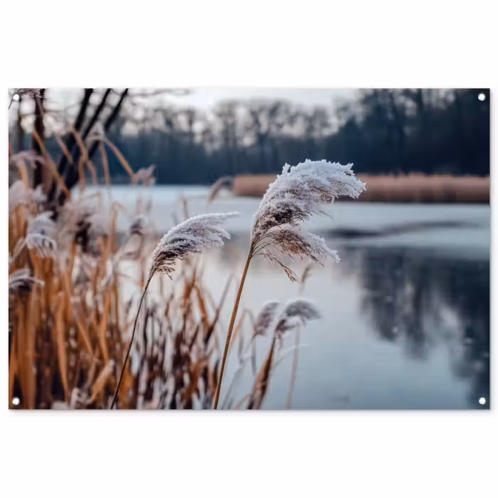 Tuinposter - Riet - Gras - Natuur - Winter - Meer