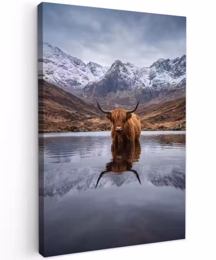 Buiten canvas - Schotse hooglander - Bruin - Water