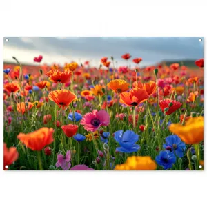 Tuinposter - Bloemenweide in volle bloei