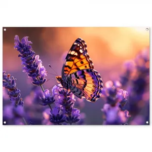 Tuinposter - Vlinder op lavendel bij zonsondergang